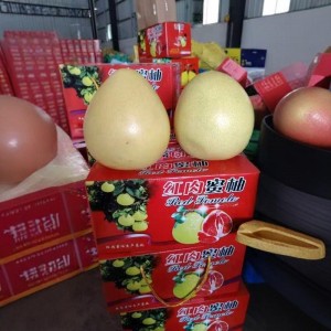 梅州梅县红肉蜜柚三红送礼中秋包邮礼盒2个5斤左右