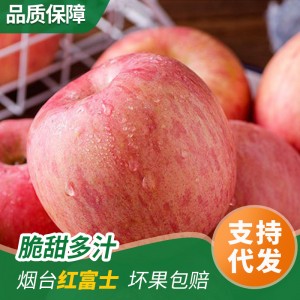 烟台苹果红富士水晶富士栖霞苹果产地直发新鲜当季大果苹果礼盒装