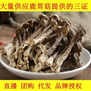 鹿茸菇干货500克无硫煲汤餐饮火锅食材土特产农副产品食用菌批发