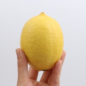 产地直供四川安岳黄柠檬新鲜整箱当季水果精选皮薄甜多汁柠檬