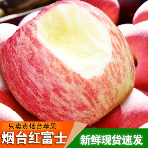 烟台苹果【全年供用】新鲜栖霞苹果生鲜水果正宗脆甜红富士苹果