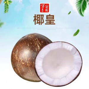 厂家直发椰皇海南椰皇抛光椰子炖盅新鲜老椰子新鲜现货不包邮