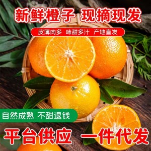 【赣州果园直供】正宗赣南脐橙应季新鲜薄皮橙子超市供应整箱批发