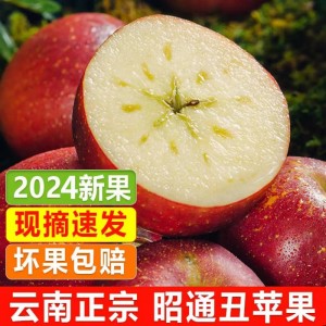 正宗云南昭通丑苹果冰糖心新鲜水果直发当季整箱包邮10斤 产地代发