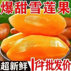 云南天山雪莲果新鲜水果黄心雪连果当季整箱新鲜水果批发3/5/9斤