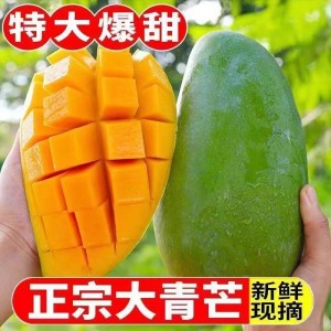 现货应季越南大青芒大芒果大脸芒青皮芒果10斤大果新鲜水果整箱代