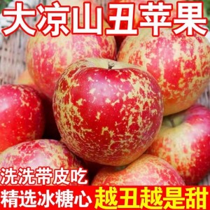 大凉山盐源【冰糖心苹果】丑苹果红富士昭通糖心苹果5斤整箱果园