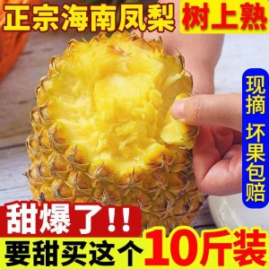 正宗海南金钻凤梨大果菠萝应季水果自然熟老树手撕菠萝10斤整箱批