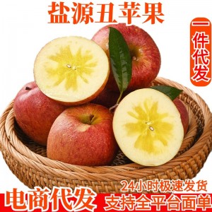 大凉山盐源丑苹果一件代发冰糖心苹果昭通糖心苹果水果批发包邮