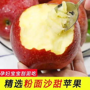 【越放越粉面】陕西红星苹果应季新鲜水果老人宝宝辅食刮泥苹果