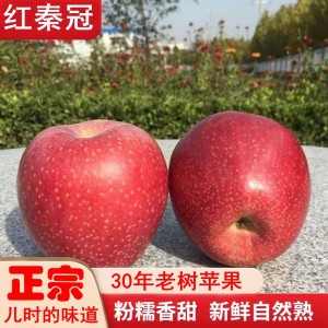 陕西秦冠苹果可脆可粉老树新鲜水果丑苹果冰糖心甜