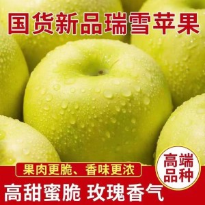 现摘陕西青苹果水果酸甜脆当应季新鲜苹果一整箱2/5/10斤一件批发