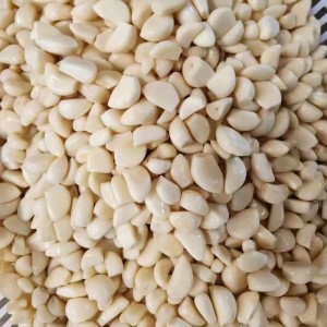手工挑选蒜米残次率5以内食品加工出口级去皮大蒜子蒜肉蒜米