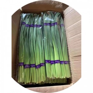 【出口代加工】250g小包装去头去尾脆嫩蒜毫蒜苗蒜薹杂交苍山白帽