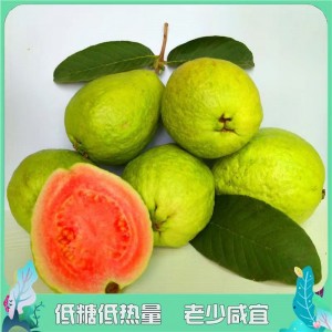 广西新鲜红心芭乐1/2/3/5/9斤热带水果一件代发整箱香甜番石榴