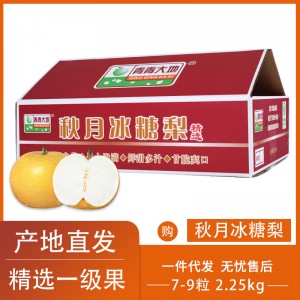青青大地莱阳秋月梨山东冰糖梨子10新鲜水果整箱4.5斤产地直发