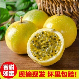 新鲜广西钦蜜黄金百香果大果热带孕妇水果黄皮果鸡蛋果整箱批发